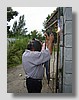 By Novosibirsk city-Bobokoni_10.jpg