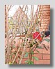 By Rostov-na-Donu city-Mokry Batay village-Seuloni_21.jpg