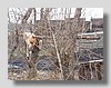 By Voronezh city-Nikolskoye village-Burikoni_25.jpg