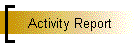 Activity Report